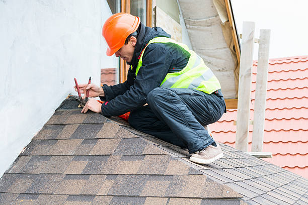 Best Gutter Installation and Roofing  in Beulah, ND
