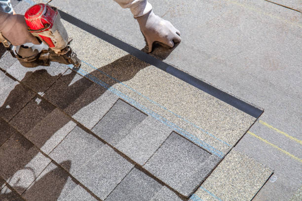 Best Flat Roof Repair Services  in Beulah, ND